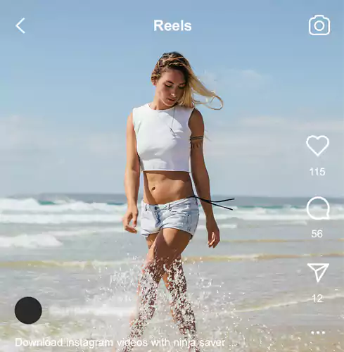 Download Instagram Reels